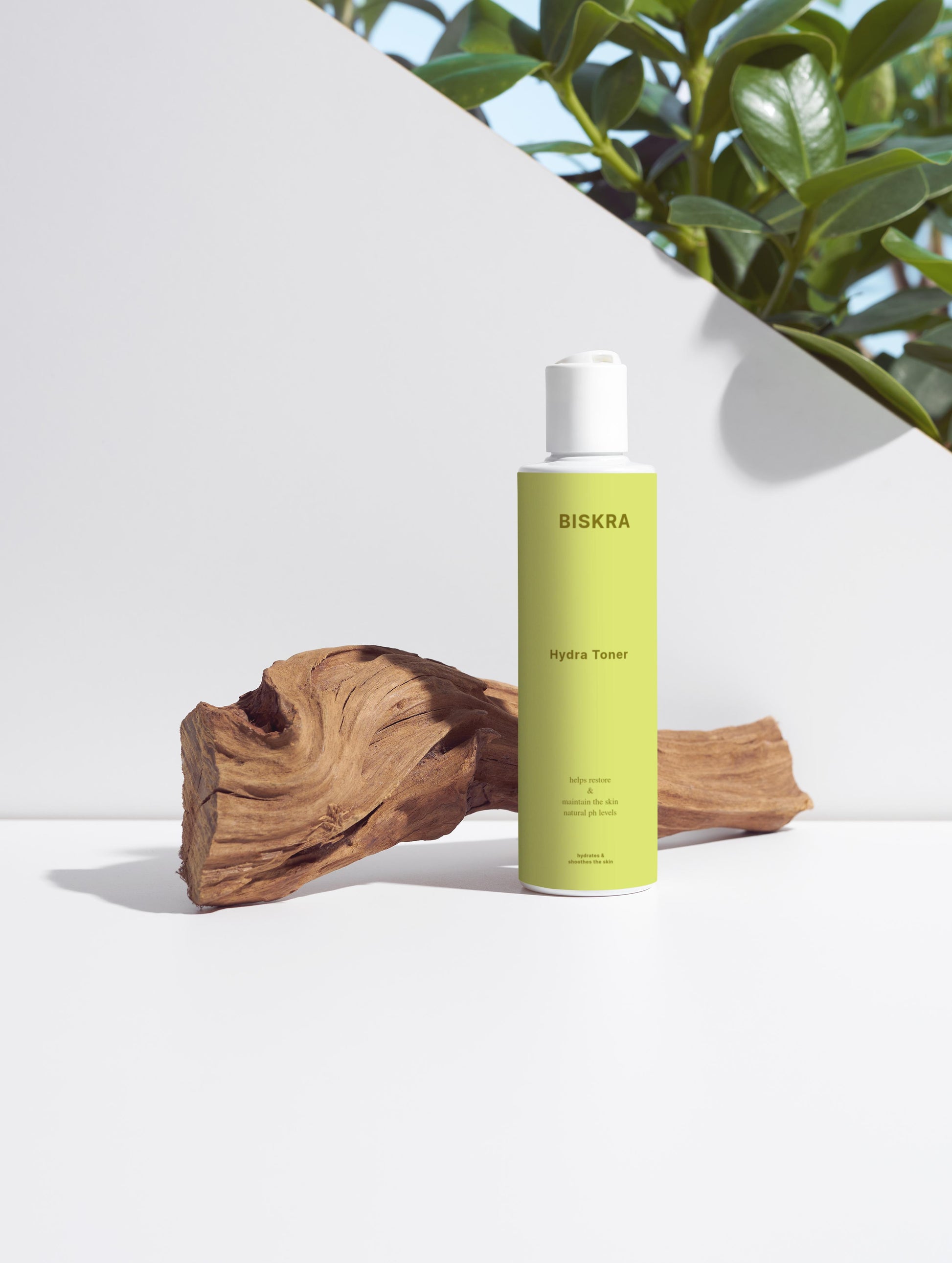 Hyaluronic acid toner for dry skin