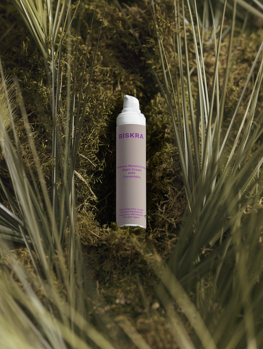 Night cream surrounded by aloe vera, jojoba, and sunflower oils